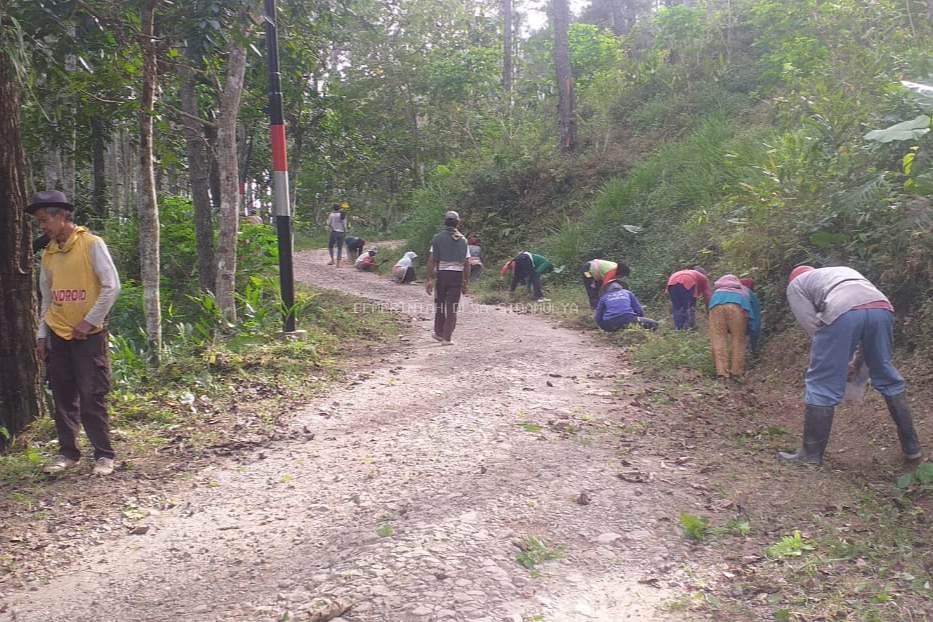 Solidaritas tumbuh karena Gotong royong