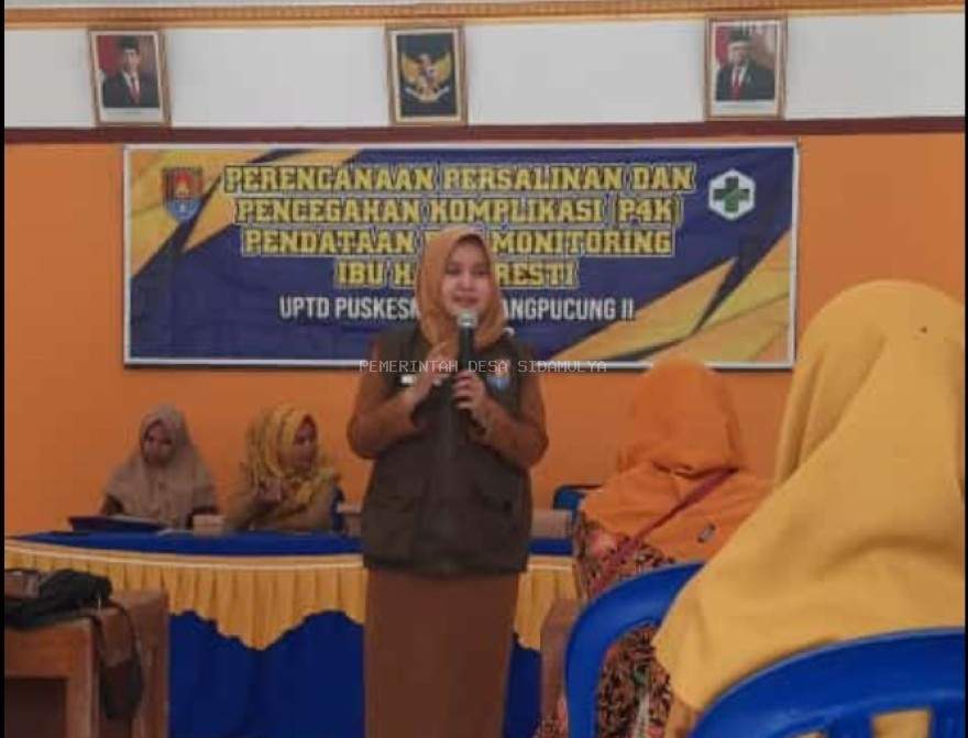 PROGRAM PERENCANAAN PERSALINAN DAN PENCEGAHAN KOMPLIKASI (P4K)