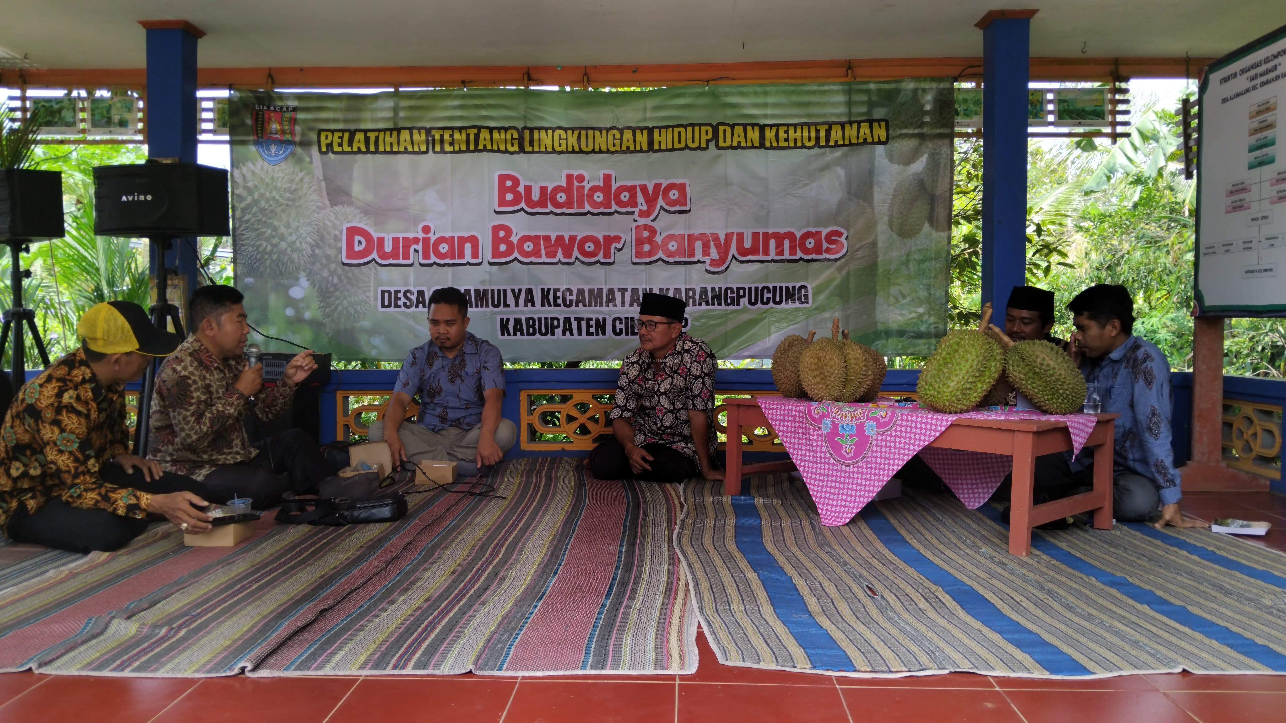 PELATIHAN BUDIDAYA DURIAN BAWOR BANYUMAS 